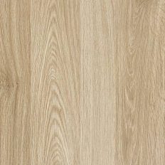 POP_rovere-corteccia